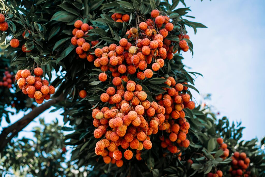 Accueil pexels mr yin 586337898 17361323 (1)